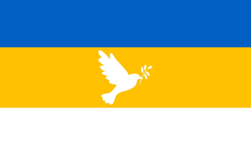 Файл:Флаг ЛПДР.png