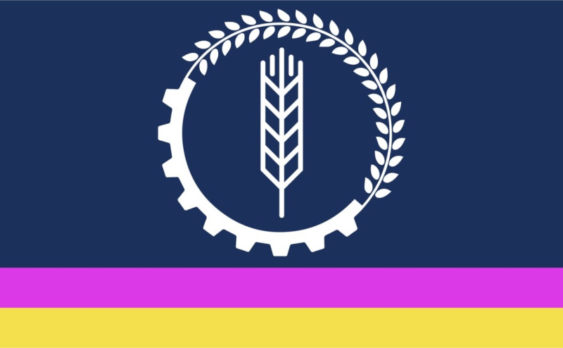 Файл:Флаг СПДР.png
